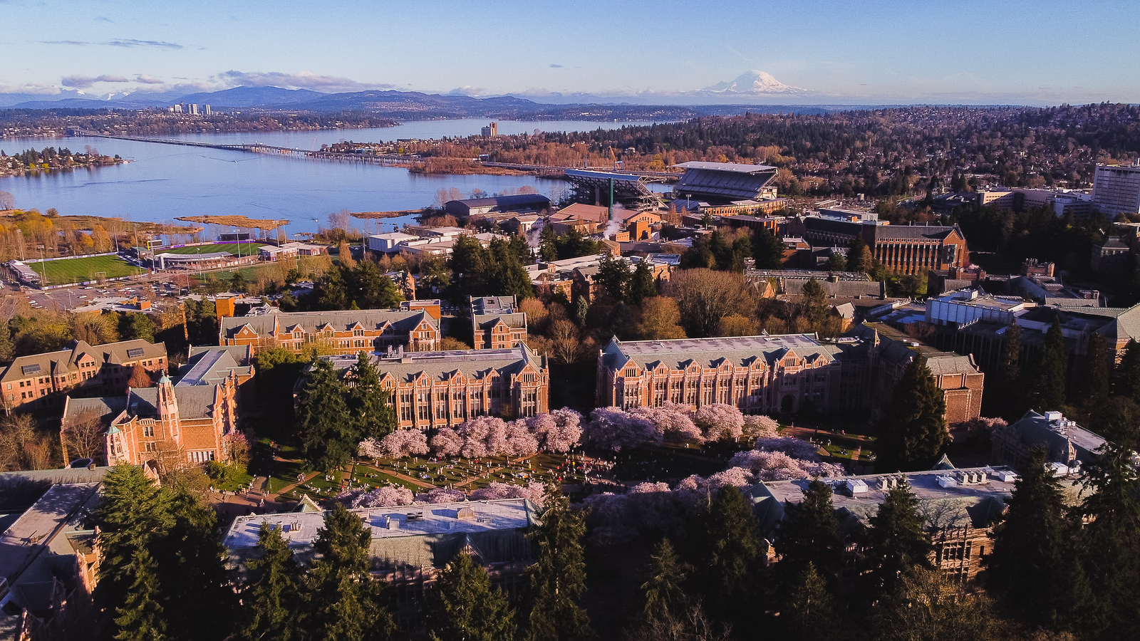 Fellowships psychiatry residency training program